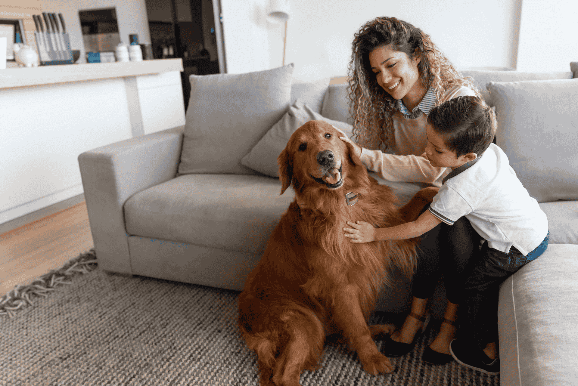 annual dog vaccines protection result