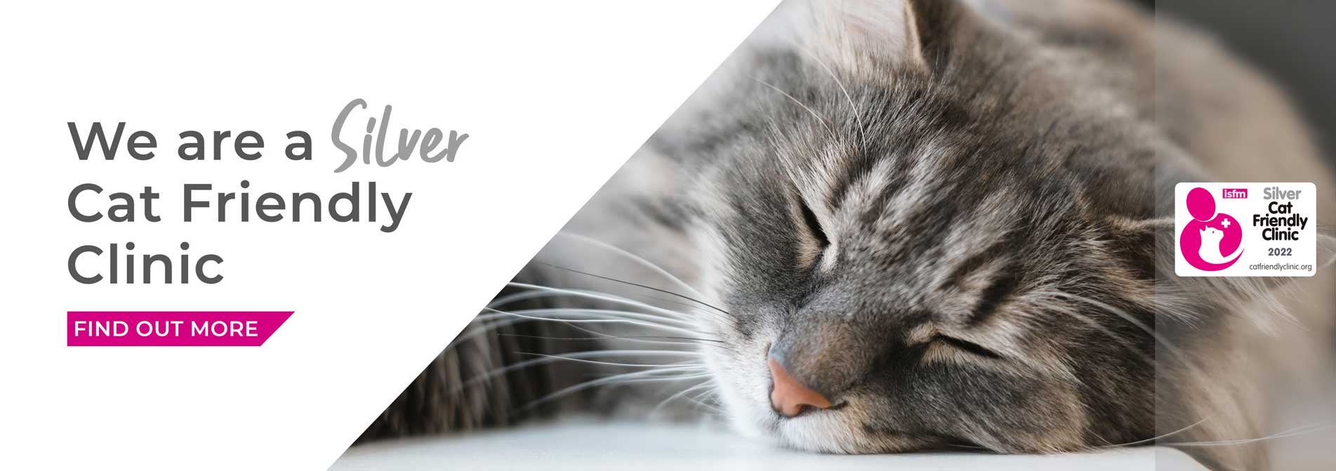 Spinney Veterinary Clinic Northampton | Vets Near Me