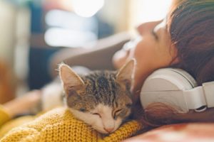 Cat sleeping on owners chest