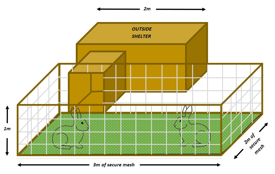 Rabbit enclosure measurements with external shelter