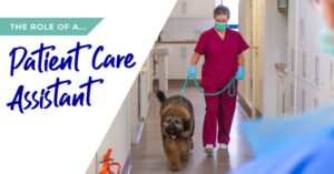 The role of a patient care assistant in Northampton