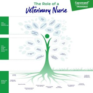 Veterinary nurse tree showing roles and skills