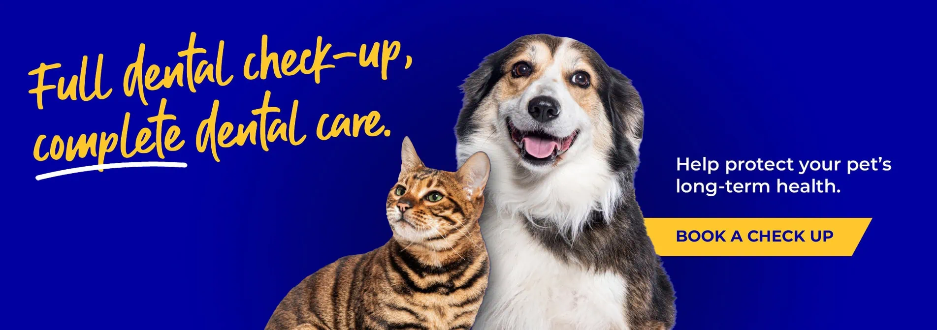 Spinney Veterinary Clinic Northampton | Vets Near Me