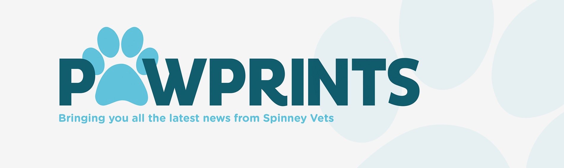 Newsletters | Spinney Vets Northampton