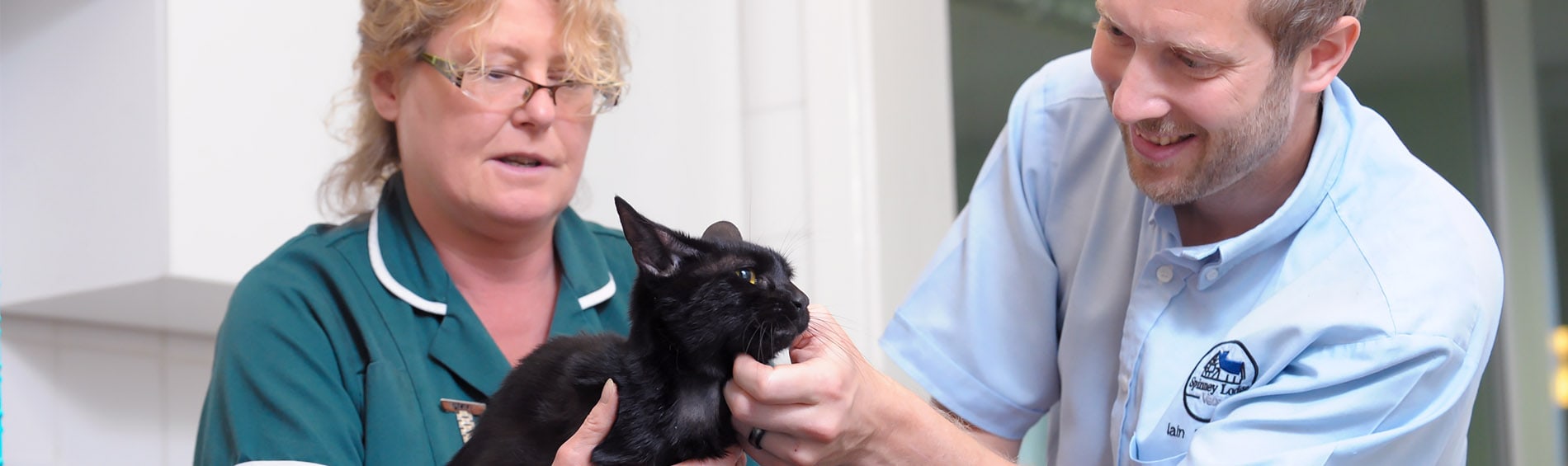 How To Reduce Cat Stress At The Vets