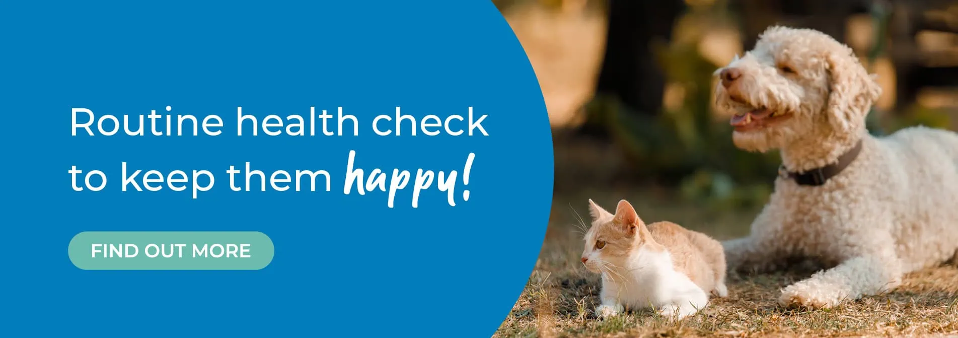 Spinney Veterinary Clinic Northampton | Vets Near Me