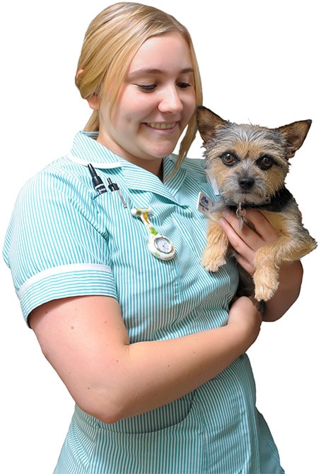 Nurse with dog