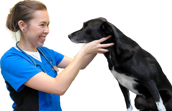 nurse with dog