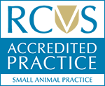 RCVS Accredited Small Aniaml Practice