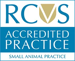 RCVS Accredited Practice Small Animal 2024