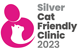 CFC Silver logo 2023