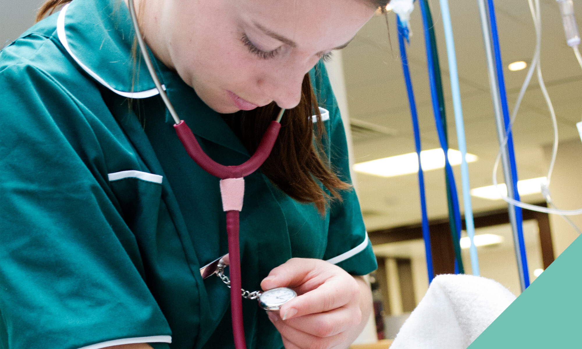 Veterinary nurse at work