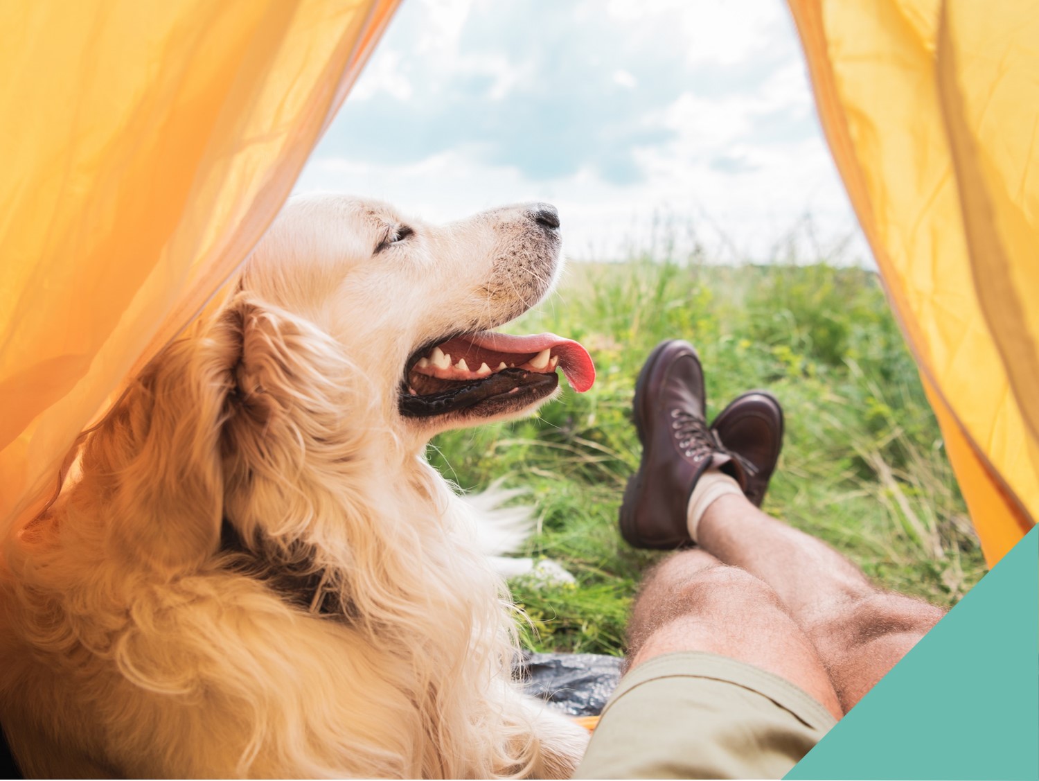 A dog and a man lying at the front of a tent