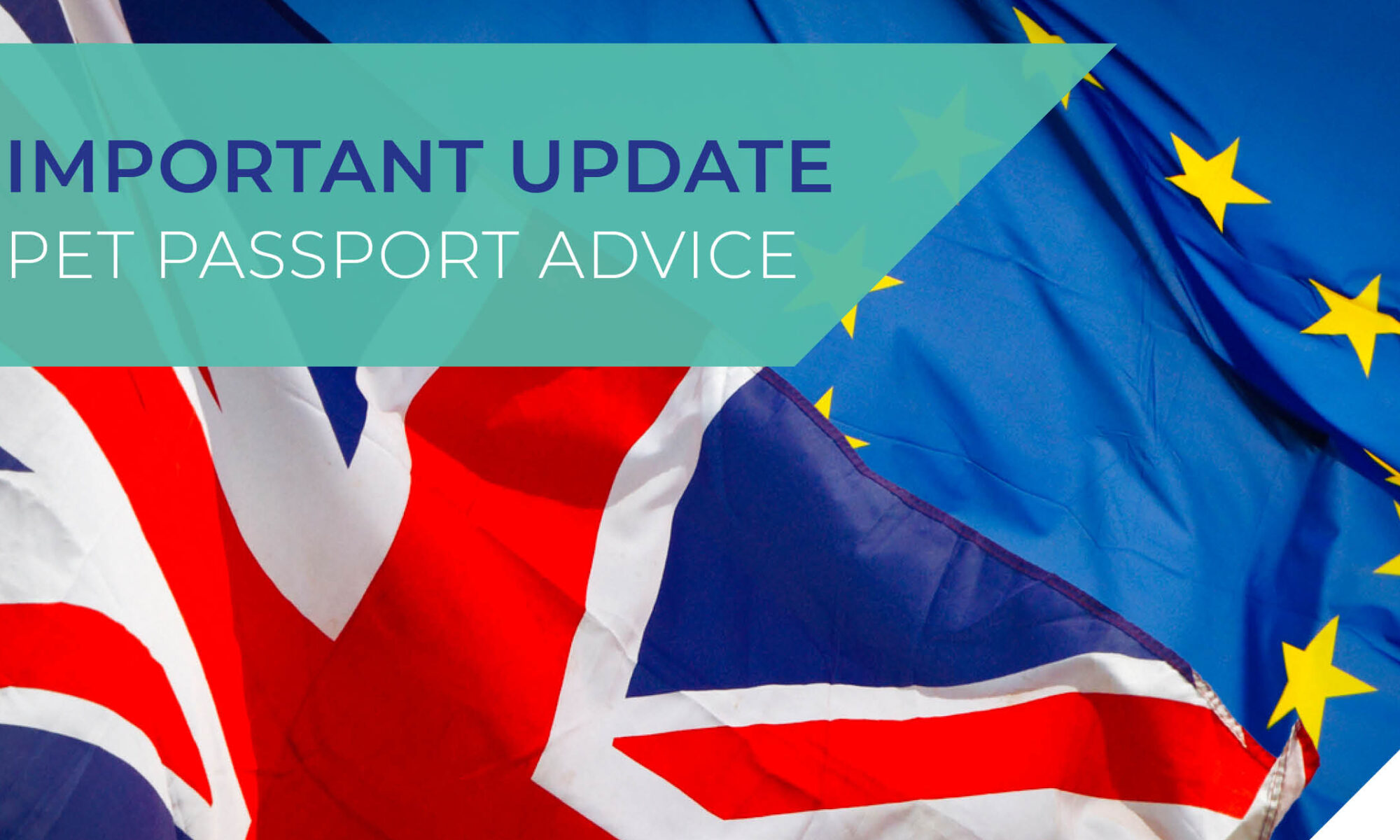 Pet travel to Europe 2021 Spinney Vets