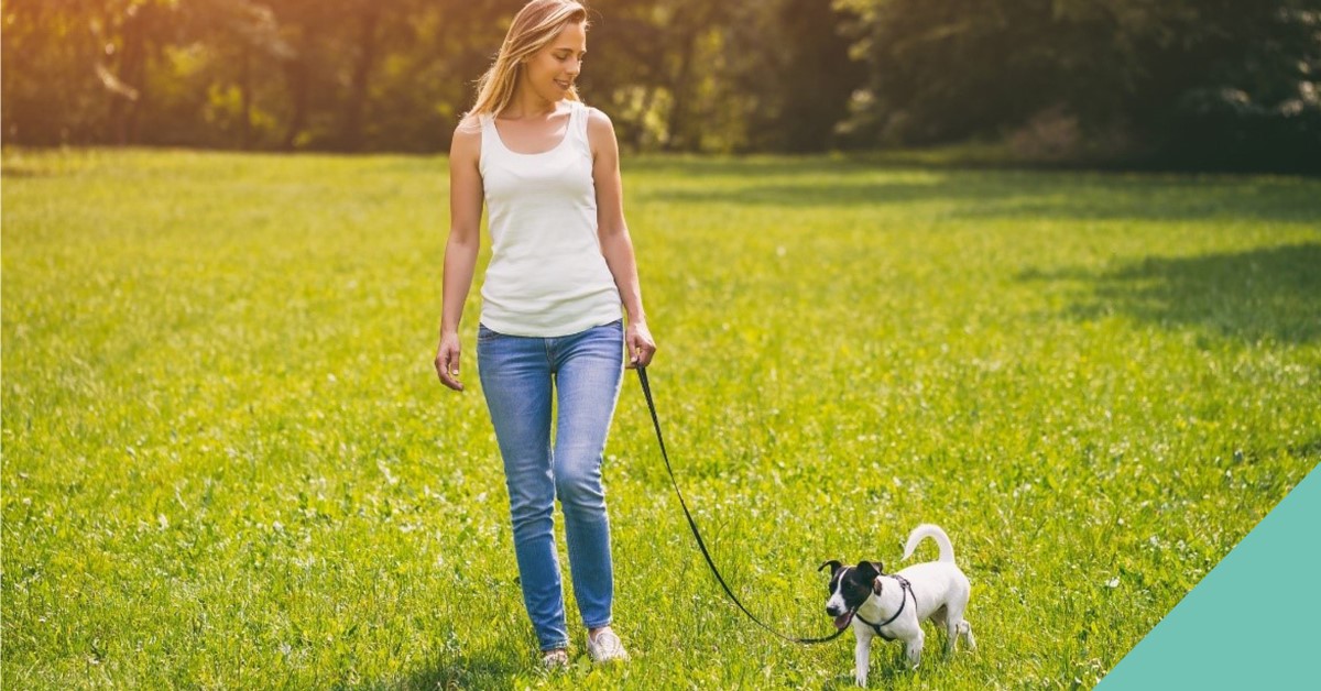 A lady walking a small dog in a field