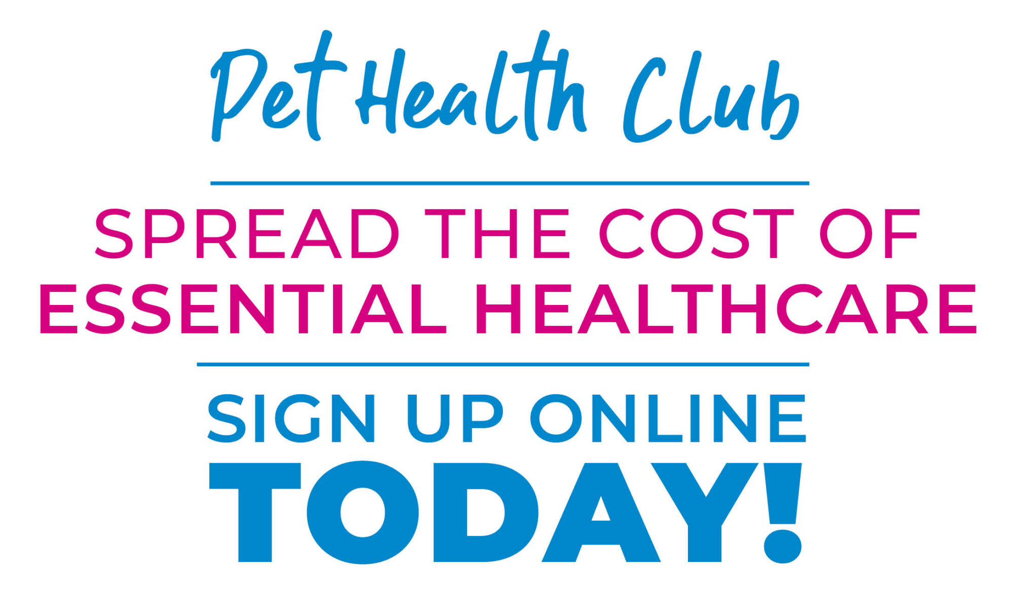 Pet Health Club Flyer