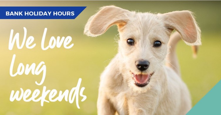 May bank holiday hours with Spinney vets