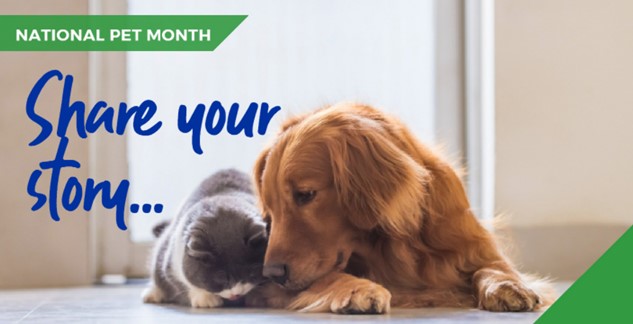 National Pet Month with Spinney Vets