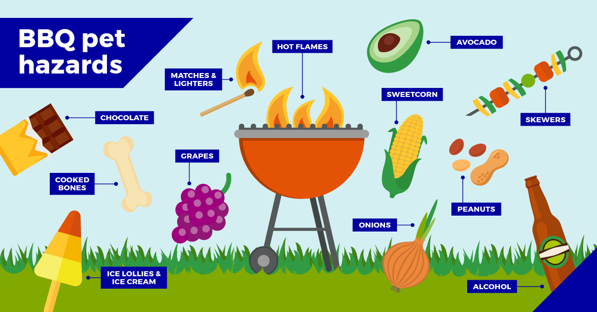 BBQ pet hazards made known by spinney vets