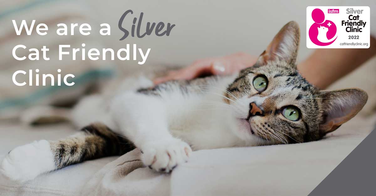 Spinney Vets, Sliver cat friendly clinic